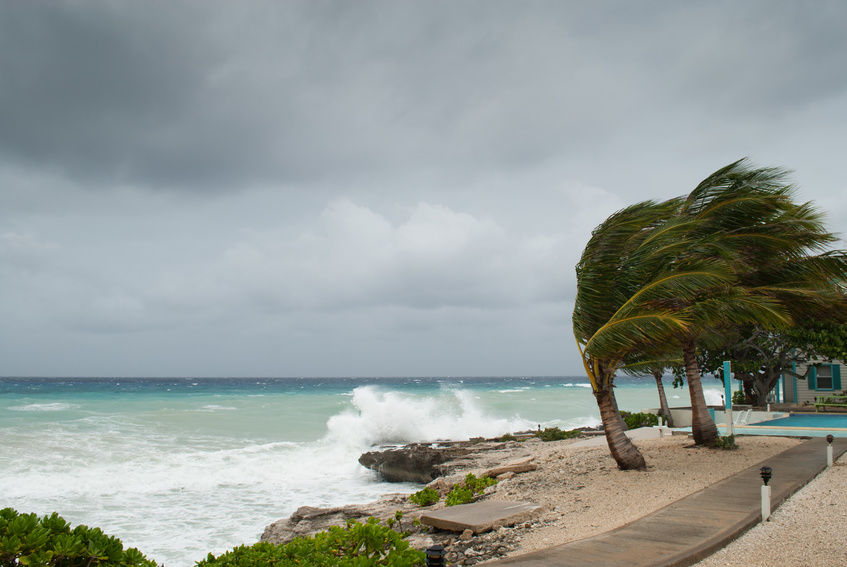 Stormy shoreline with strong winds, crashing waves, and palm trees, emphasizing the need for emergency electrical services during hurricane season.