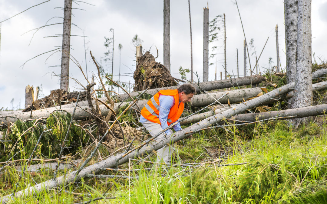 How to Hurricane-Proof Your Home&rsquo;s Electrical